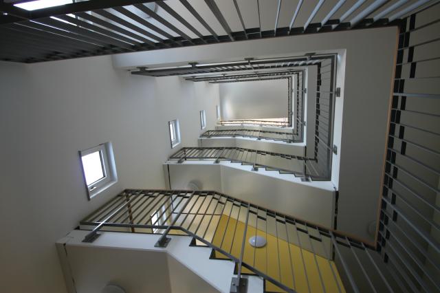 Mehrfamilienhaus, Haydnstra&szlig;e, WGJ, dresden